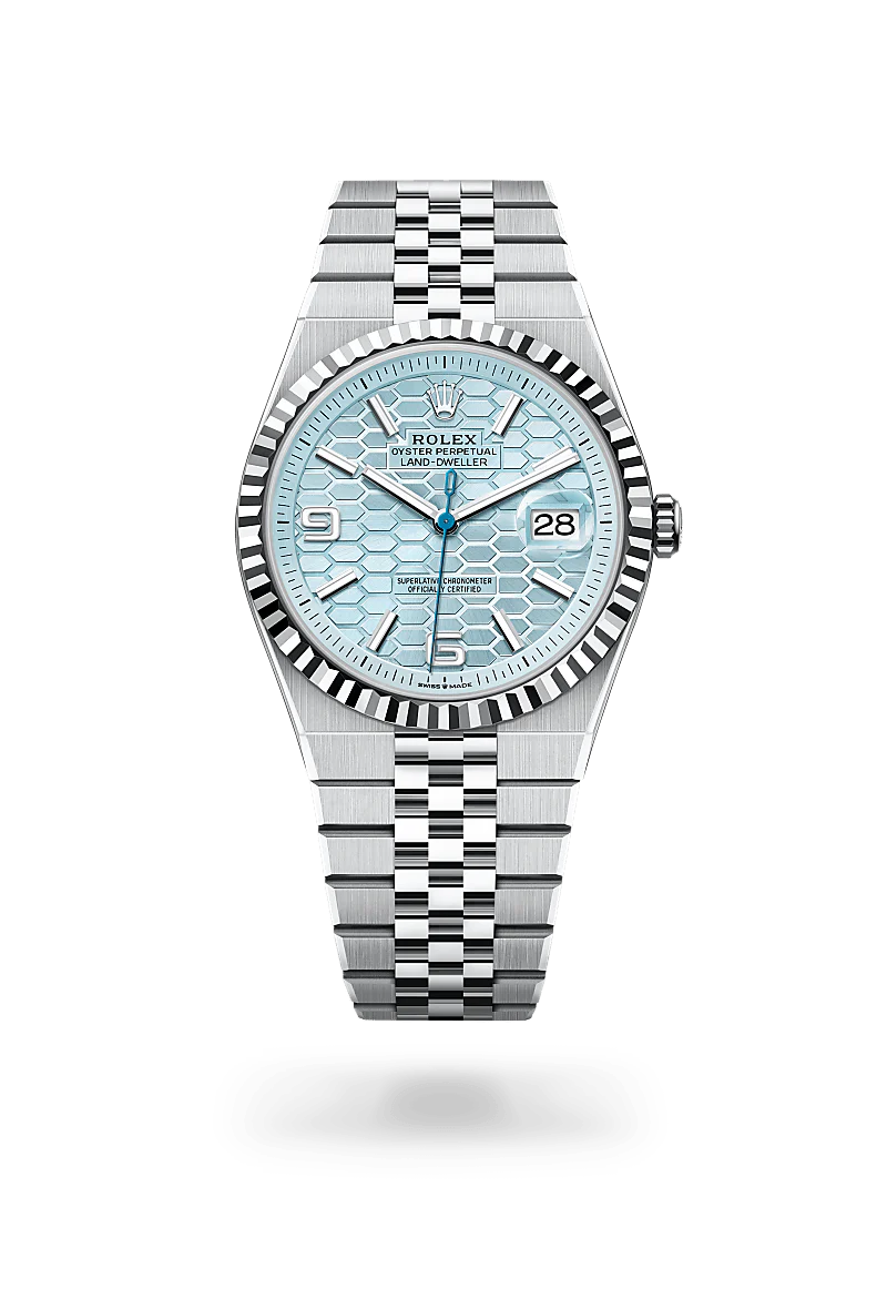 Role_x  Land Dweller Silver/Sky Watch
